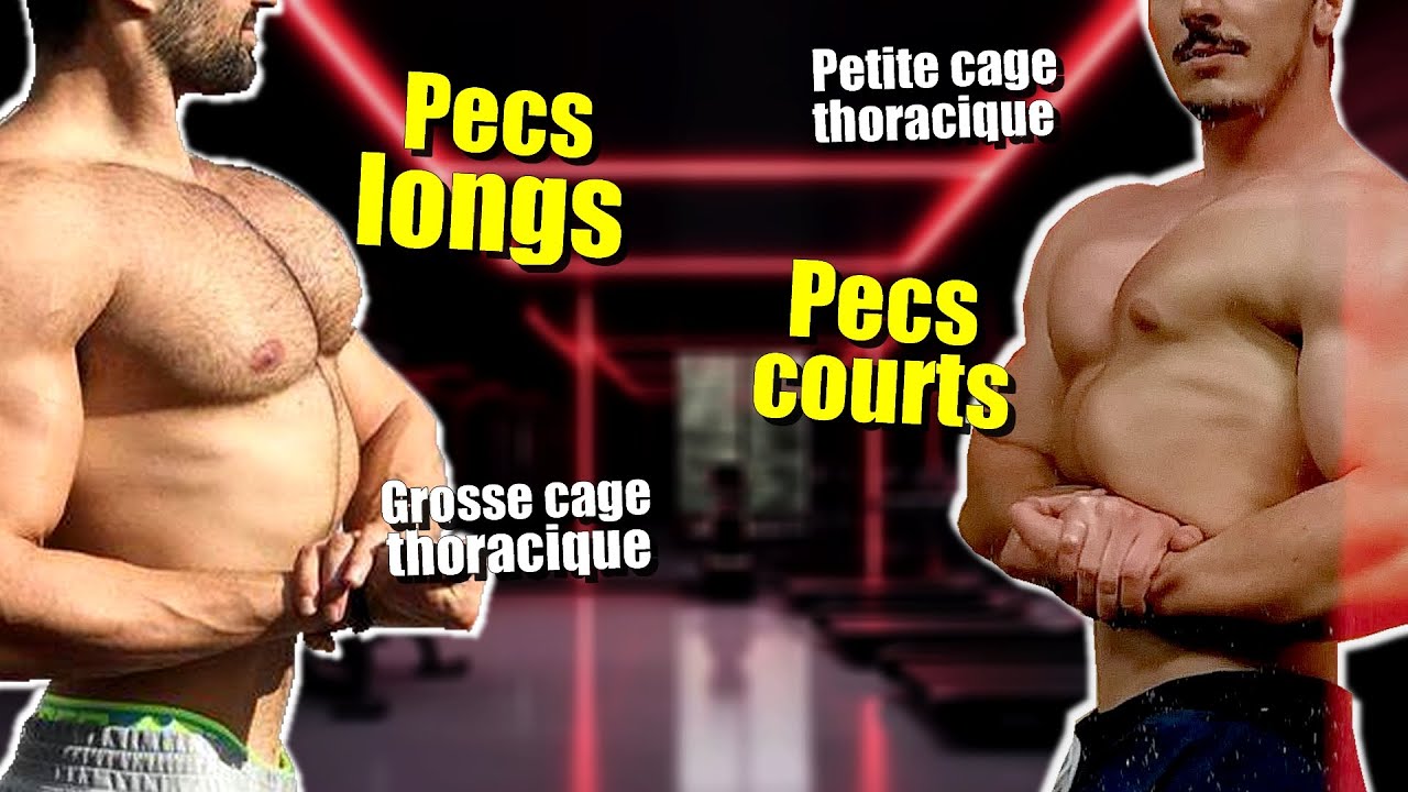 La séance PECS idéale en fonction de ta MORPHOLOGIE (PECTORAUX)