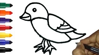 bird easy draw drawing step