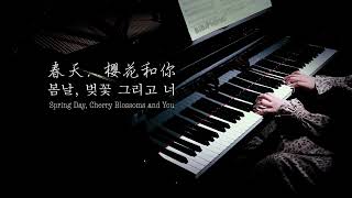 【Bi.Bi Piano】钢琴｜春天，樱花和你 Spring Day, Cherry Blossoms and You