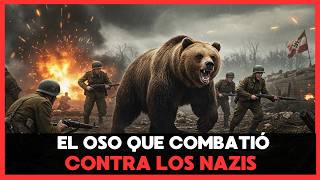 El OSO que LUCHÓ en la GUERRA MUNDIAL: La Historia REAL de Wojtek que te Hará LLORAR 🐻