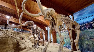 Mammoth Site in Hot Springs, SD | Custer State Park Wildlife Loop