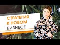 Стратегия в новом бизнесе ★ Елена Ачкасова