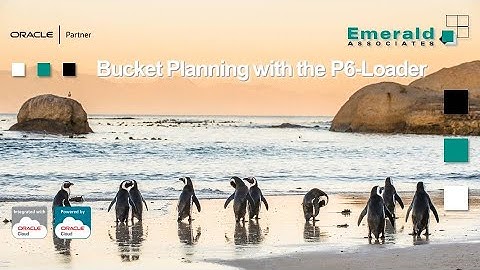 Bucket Planning with the P6-Loader