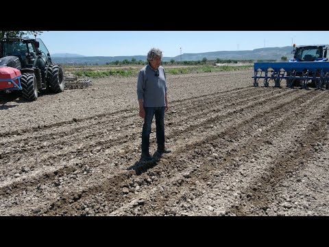 Video: Arıcı kıyafetleri: temel özellikler