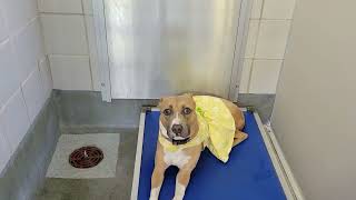 acs A661285