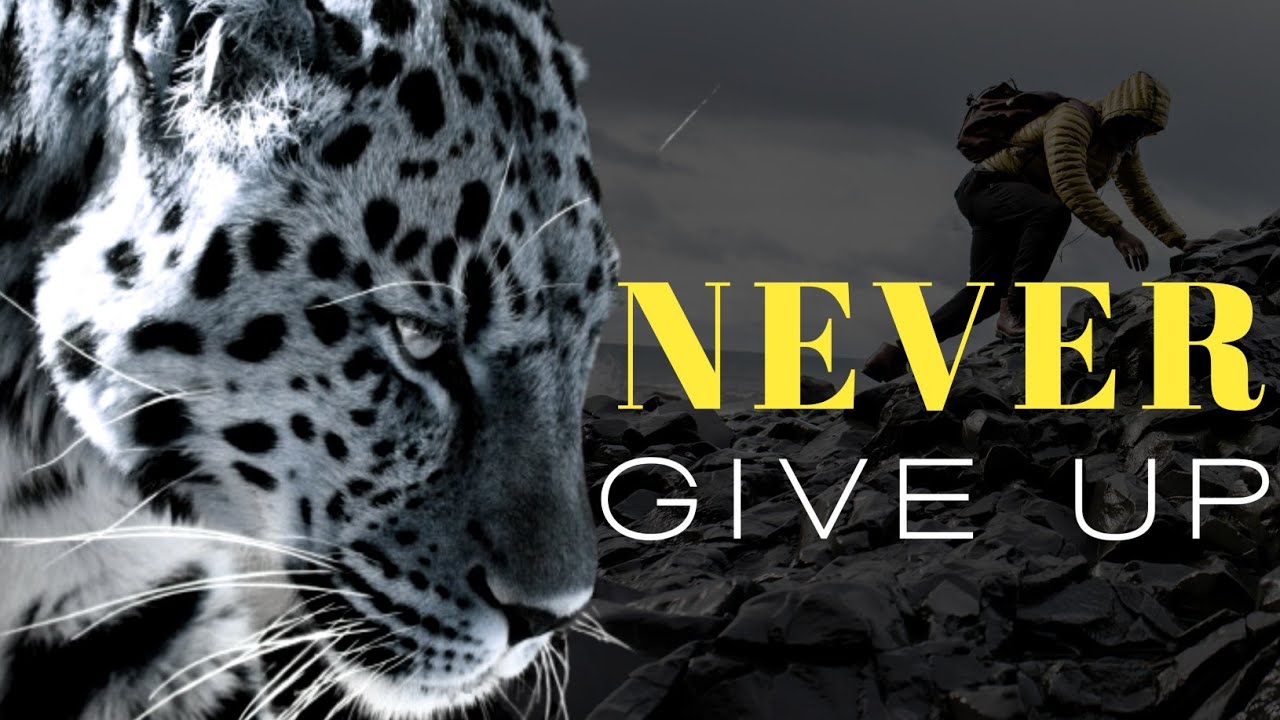 Never Give Up | Haar Nahe Manna | Syed Talha Saleem