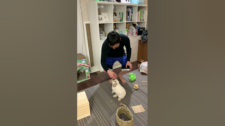 How To Hold a Bunny 🐰