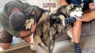 My Husky With One If His Favourite People!