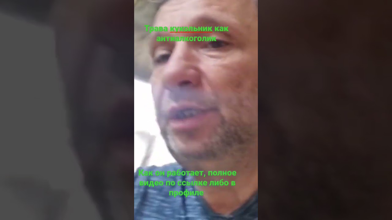 растение кукольник, помогает бороться с алкоголем