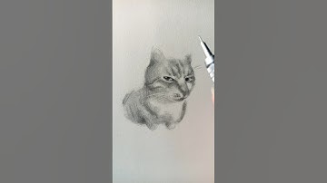 thi vẽ mèo với anti fan và cái kết || Srinpainting