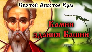 КАМНИ ЗДАНИЯ БАШНИ ☦️ Святой Апостол Ерм. Пастырь. Подобия. Часть 8