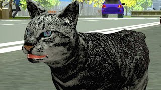 :    #1    Stray Cat Simulator    