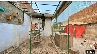 Pets K Cage Ki Safai Ki Pets Vlog Awais Vlogs