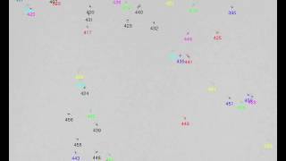 argentine Ants in an empty arena with tracking