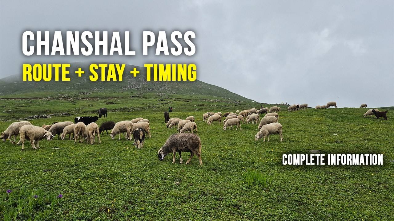 Chanshal Pass 2025 Travel Guide | Route, Timing, Stays Explained