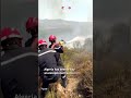 Heatwave Fuels 1,000 Fires in Algeria, 19,000 Civil Protection Personnel Mobilized
