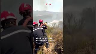 Heatwave Fuels 1,000 Fires in Algeria, 19,000 Civil Protection Personnel Mobilized