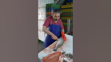 Expert Cuts a Whole Salmon in Seconds – Pure Skill!