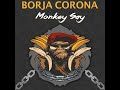 Borja corona  monkey sayoriginal mix