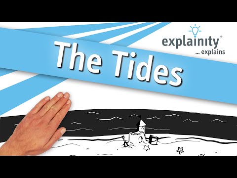 The Tides explained (explainity® explainer video)