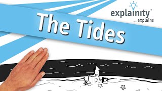 The Tides explained (explainity® explainer video)