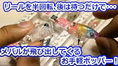 メバリング ポッパーゲーム入門 金丸竜児 Youtube