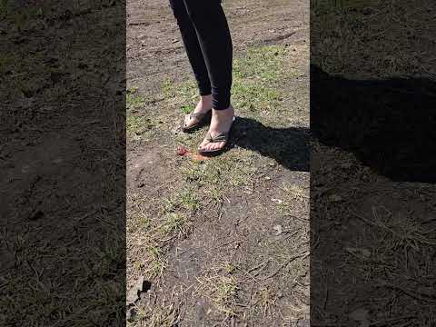 Strawberry crush in flip-flops sandals #asmrsounds #crushingasmr #asmr  #asmrcrush #sandals
