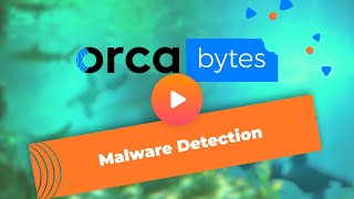 Orca Bytes: Malware Detection | Cloud Security Tools and Solutions