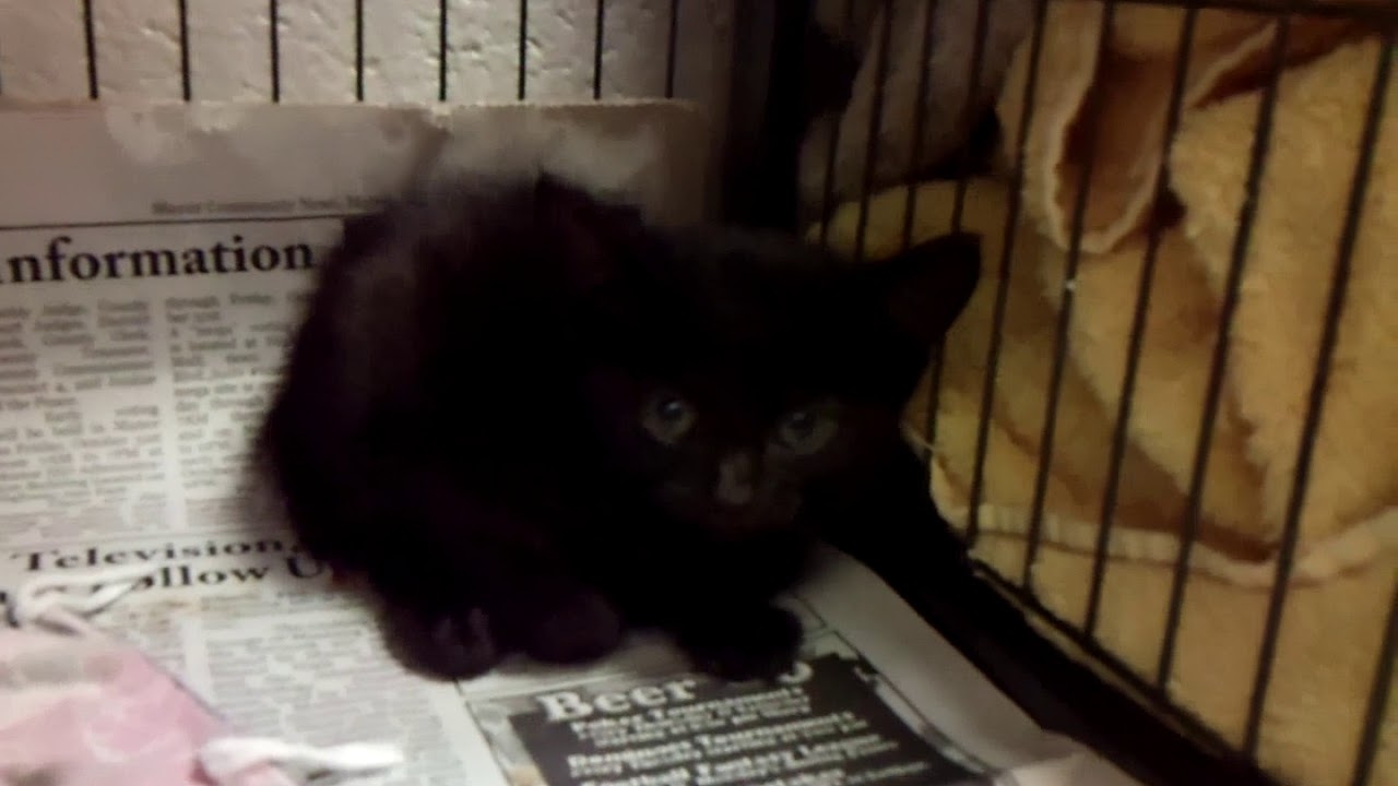 center for reproductive rights A782224