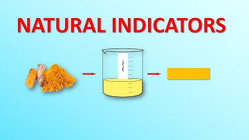 Acids and bases - Natural indicators | Science Excel