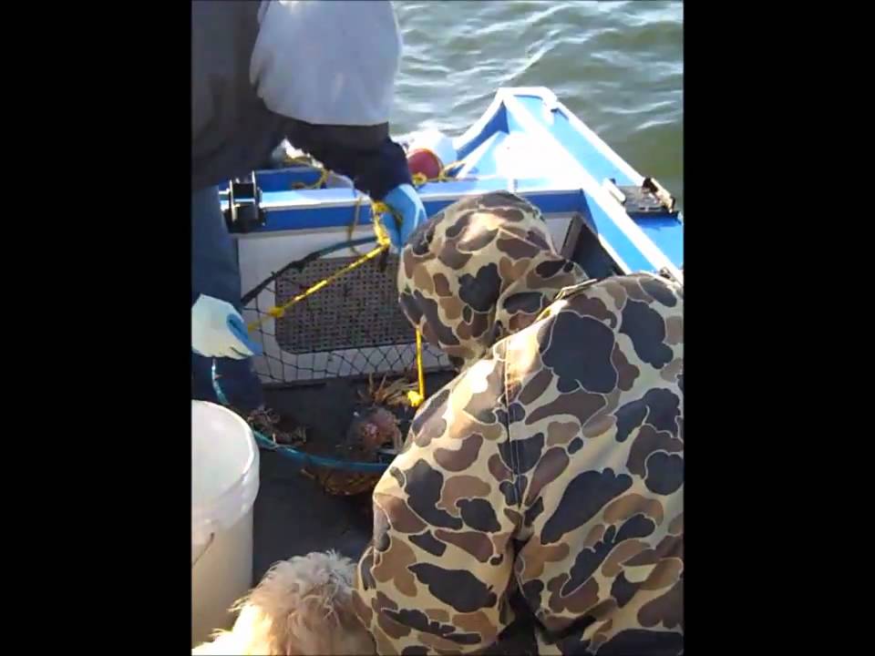 bodega bay crabbing 2010 YouTube