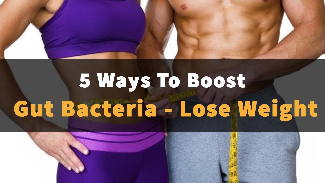 Increase Gut Bacteria To Lose Weight