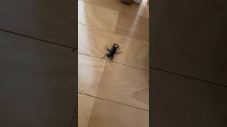 IMG 4977