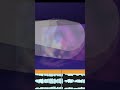 🎧 pause_09 #newmusic #musicvisualizer #visualizer #visual #visualizer🎵 #music #electronica