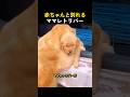 赤ちゃんと別れるママレトリバー