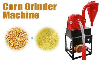 Amazing Corn Grinder Machine to Milling Maize into Fine Powder!  Corn Mill Grinding Machine Working