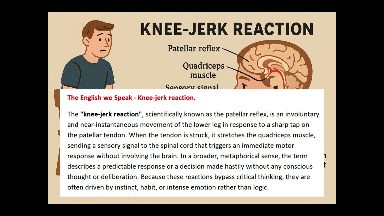 The English we Speak - Knee-jerk reaction.