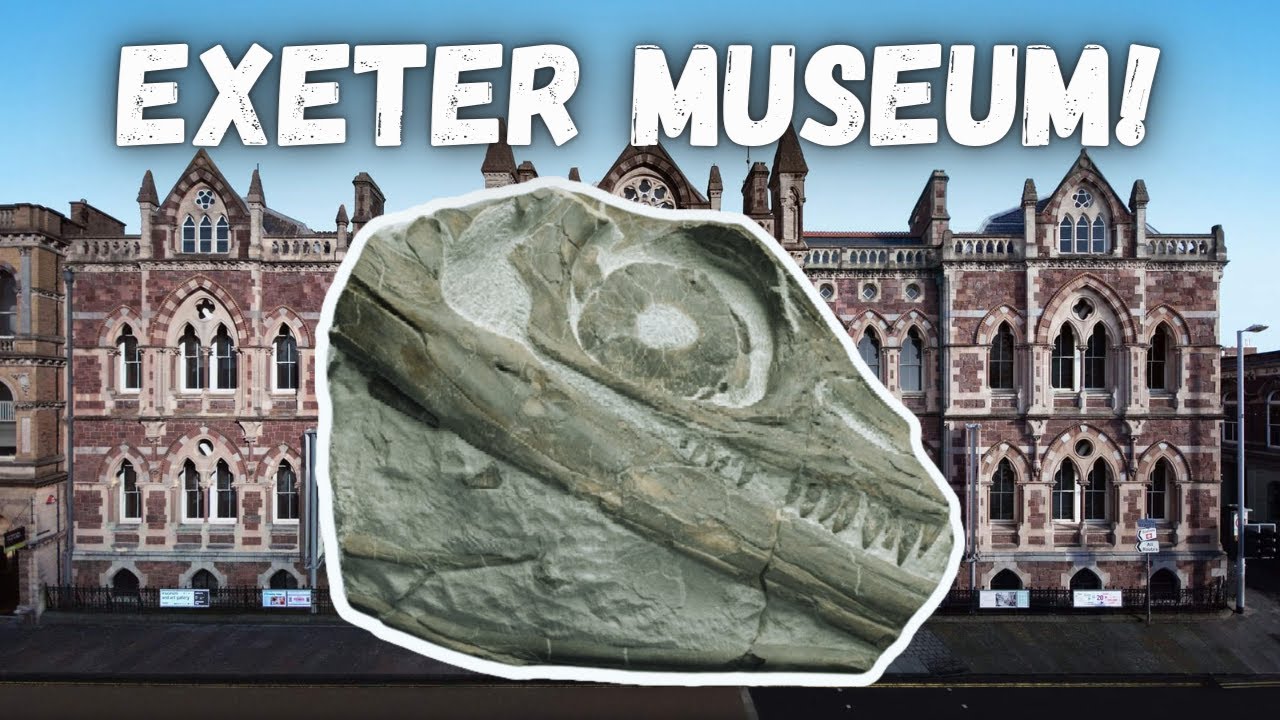 A Tour of Exeter Museum's Natural History Collection! YouTube