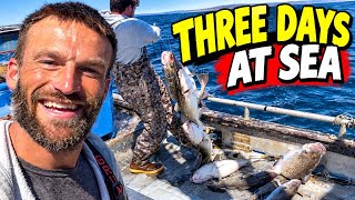 3 Days at Sea Commercial Fishing for Cod in Alaska + An Incredible Whale Show!