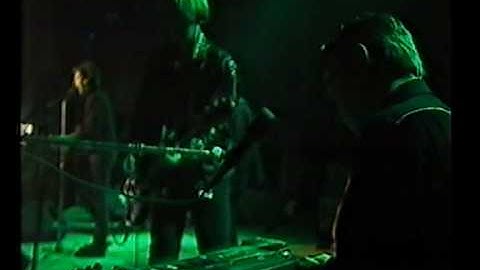 Triffids - 1987-07-03 - Roskilde Festival, DK - Interview + In The Pines