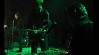 Watch Triffids In The Pines video