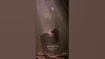 قال ربي اشرح لي صدري تلاوة خاشعة تريح القلب #أحمد_خضر #سورة_طه #حالات_واتس #قران_كريم #تلاوات_خاشعة