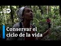 Transformar vidas y salvar los bosques I Fuerza Latina DW