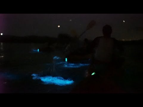 Puerto Rico (Part 3 of 5) How To Get Access To The Bioluminescent Bay When It's Sold Out