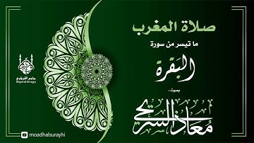 تلاوة حجازية - مغرب الجمعة  24 - 03 - 1446هـ بصوت معاذ السريحي