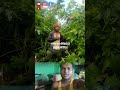 flower aur views nahi mila bala ko video #viral #videoreelsシ #reelsreels #viral