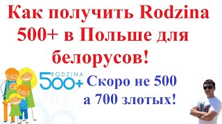 Как получить выплаты Rodzina 500+ в Польше для белорусов! Как податься! Скоро не 500 а 700 злотых!