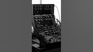 Stack O’ Moog #moog #dfam #subharmonicon