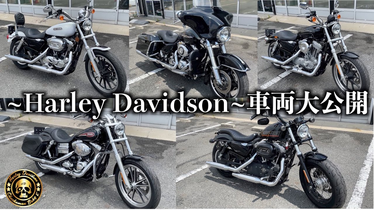 ハーレー】早い者勝ちです！！！！！ - YouTube