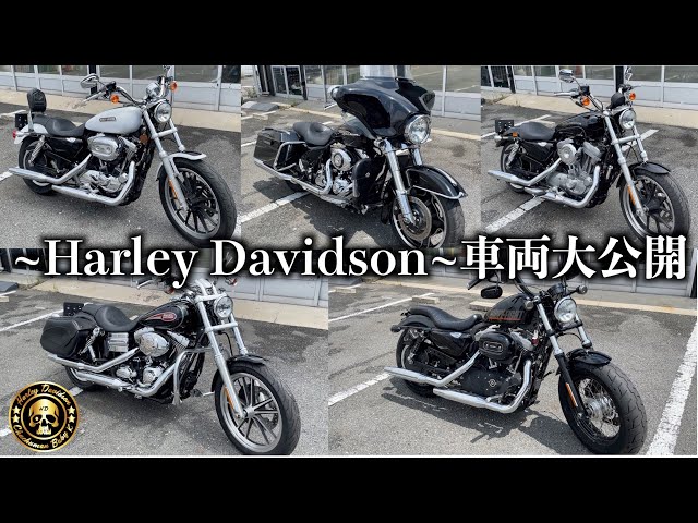 【早い者勝ち！超レア！】Harley Inglby Minion 5.9 早い者勝ち！超レア！】Harley Inglby Minion 5.9 早い者勝ち